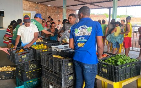 Em Sucupira, dep. Eduardo Fortes atende mais de 300 famílias com o projeto Horta Comunitária