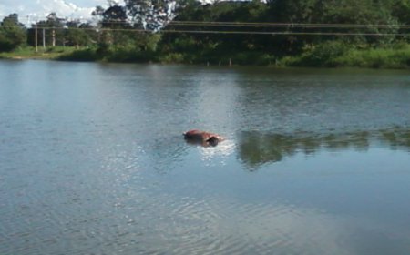 Afogamento: Adolescente morre enquanto nadava em represa de Gurupi