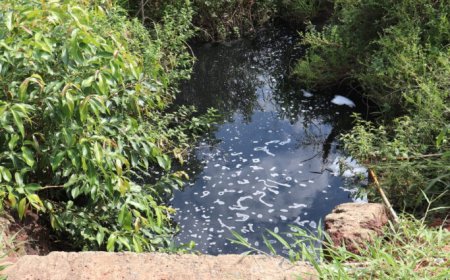 Prefeitura de Gurupi autua BRK por dano ambiental nas proximidades do córrego Pouso do Meio