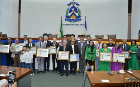 Aleto entrega títulos de Cidadão Tocantinense e Cidadão Benemérito Senador João Ribeiro