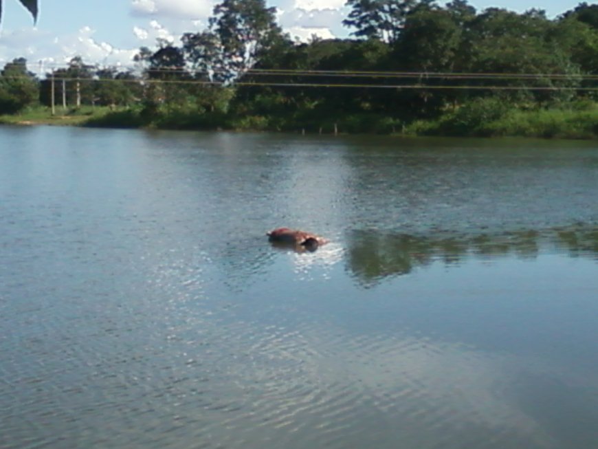 Afogamento: Adolescente morre enquanto nadava em represa de Gurupi