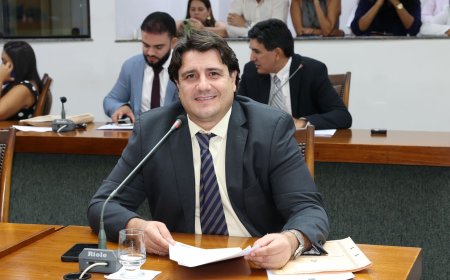 Assembleia Legislativa aprova PL do deputado Eduardo Fortes que impede condenados por maus-tratos a animais de assumirem cargo público