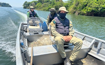 Na Operação Piracema, Governo do Tocantins intensifica a fiscalização para proteger a fauna aquática no Estado