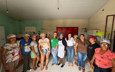 Sindicato Rural de Gurupi Apoia Curso de Produção de Doces Cristalizados que Empodera Mulheres e Fortalece a Comunidade