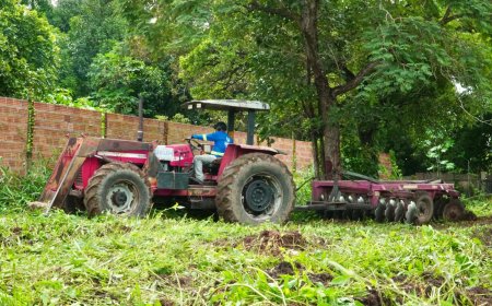 Prefeitura de Gurupi inicia limpeza de lotes não edificados