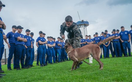 Núcleo de Operação com Cães ministra instrução no 6º Curso de Formação da Guarda Metropolitana de Palmas