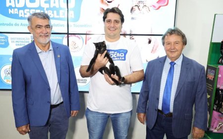 Deputado Fortes confirma realização da 3ª Feira de Adoção Animal na Aleto