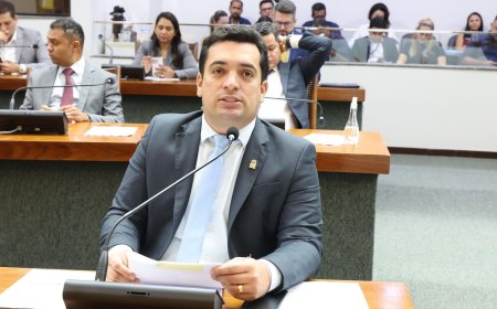 Deputado Gutierres Torquato propõe criação da Rota Turística da Ilha do Bananal no Tocantins
