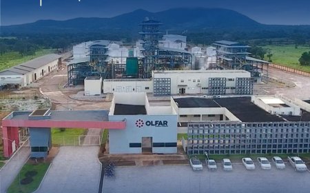 Câmara de Vereadores de Alvorada aprova doação de terreno para instalação de armazém de grãos da Olfar S.A.