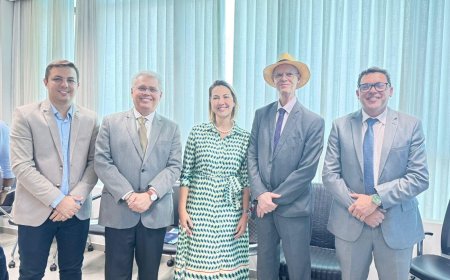 Presidente da Câmara de Gurupi participa de encontro no TCE/TO sobre políticas públicas voltadas à primeira infância