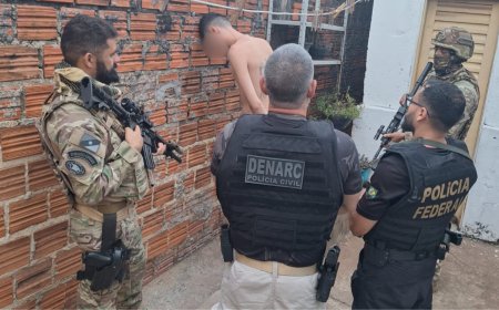 Operação Cerberus: Polícias Civil e Federal desarticula organização criminosa envolvida em crimes contra instituições financeiras, tráfico de drogas e comércio ilegal de armas no Tocantins