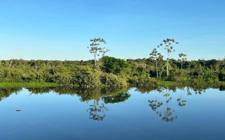 Naturatins divulga edital de convocação para audiência pública sobre a revisão do Plano de Manejo da APA Ilha do Bananal/Cantão