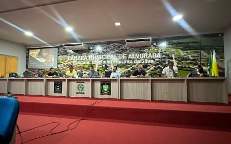 Câmara Municipal de Alvorada Apresenta Nova Lei Orgânica para a comunidade alvoradense