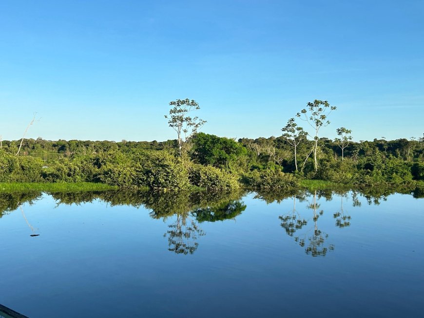 Naturatins divulga edital de convocação para audiência pública sobre a revisão do Plano de Manejo da APA Ilha do Bananal/Cantão