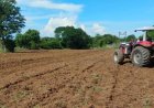 Prefeitura de Gurupi intensifica apoio aos agricultores familiares com maquinários, insumos e assistência técnica