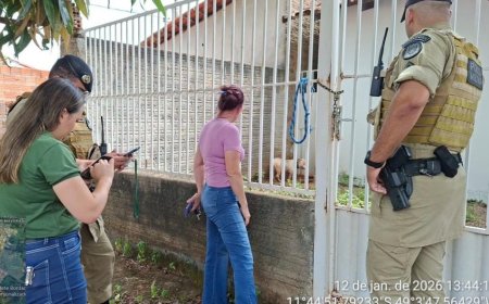 Secretaria Municipal de Meio Ambiente autua proprietário de cachorro por maus tratos ao animal
