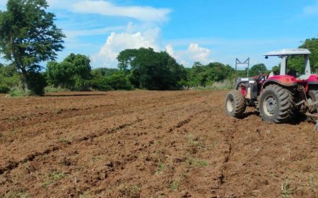Prefeitura de Gurupi intensifica apoio aos agricultores familiares com maquinários, insumos e assistência técnica