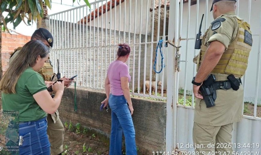 Secretaria Municipal de Meio Ambiente autua proprietário de cachorro por maus tratos ao animal