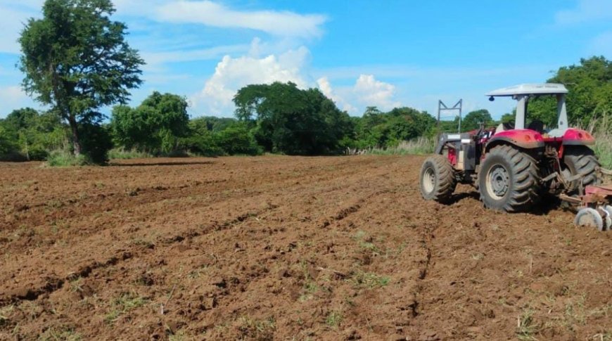 Prefeitura de Gurupi intensifica apoio aos agricultores familiares com maquinários, insumos e assistência técnica